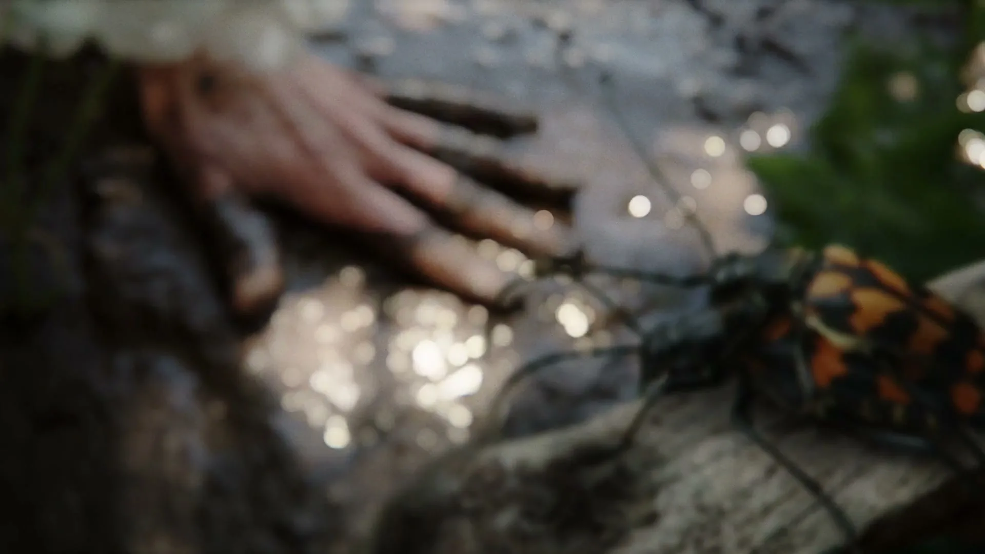 A dirty hand is seen in mud, as a beetle with orange and black markings crawls into focus on a piece of wood.