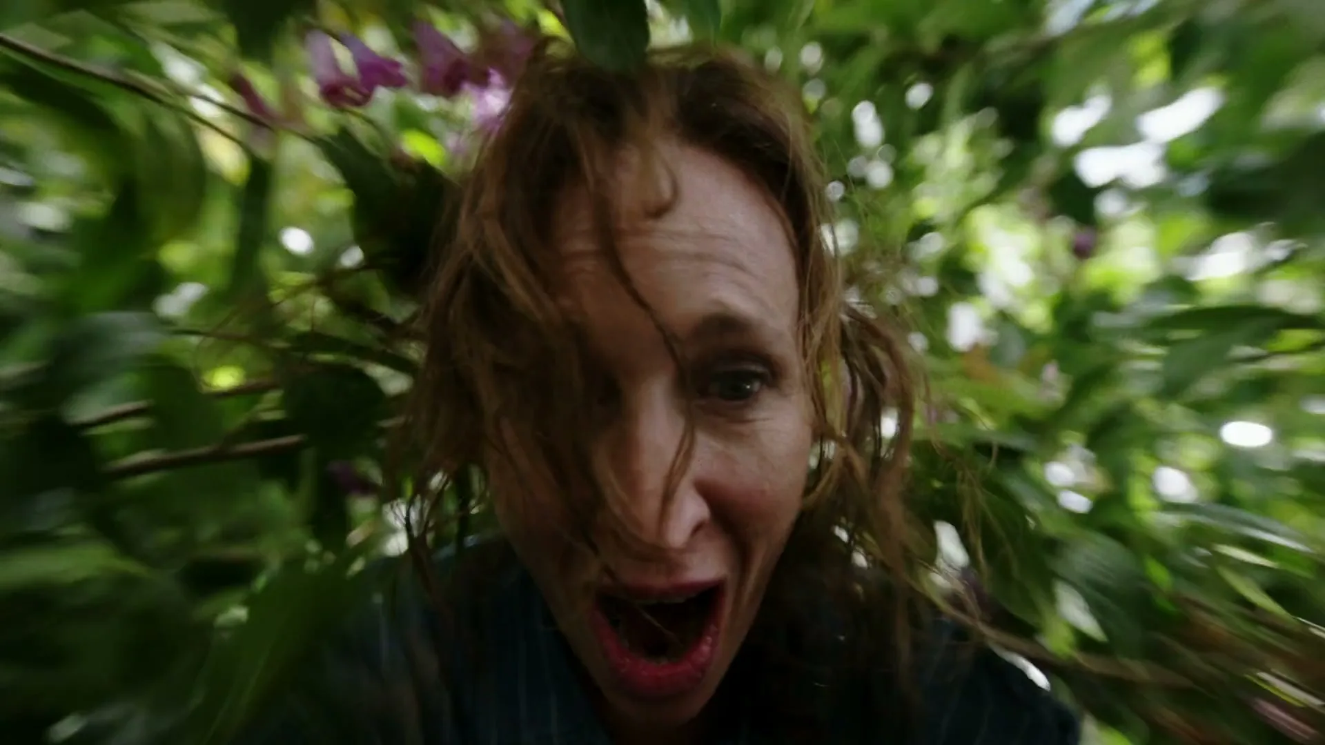 Hornbach “Biodiversity starts in your garden”