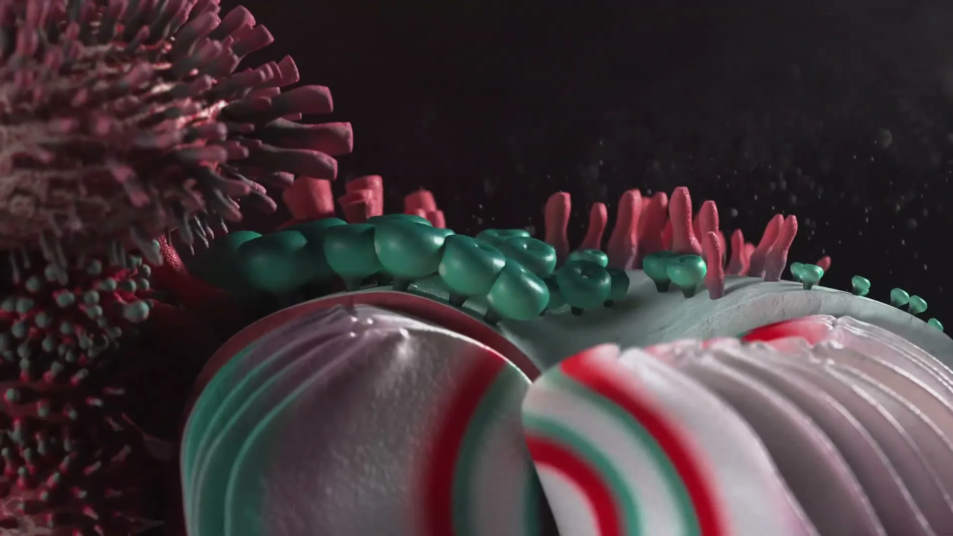 A macro shot of abstract, organic shapes in red, green, and white, resembling microscopic organisms or cells, against a dark background.