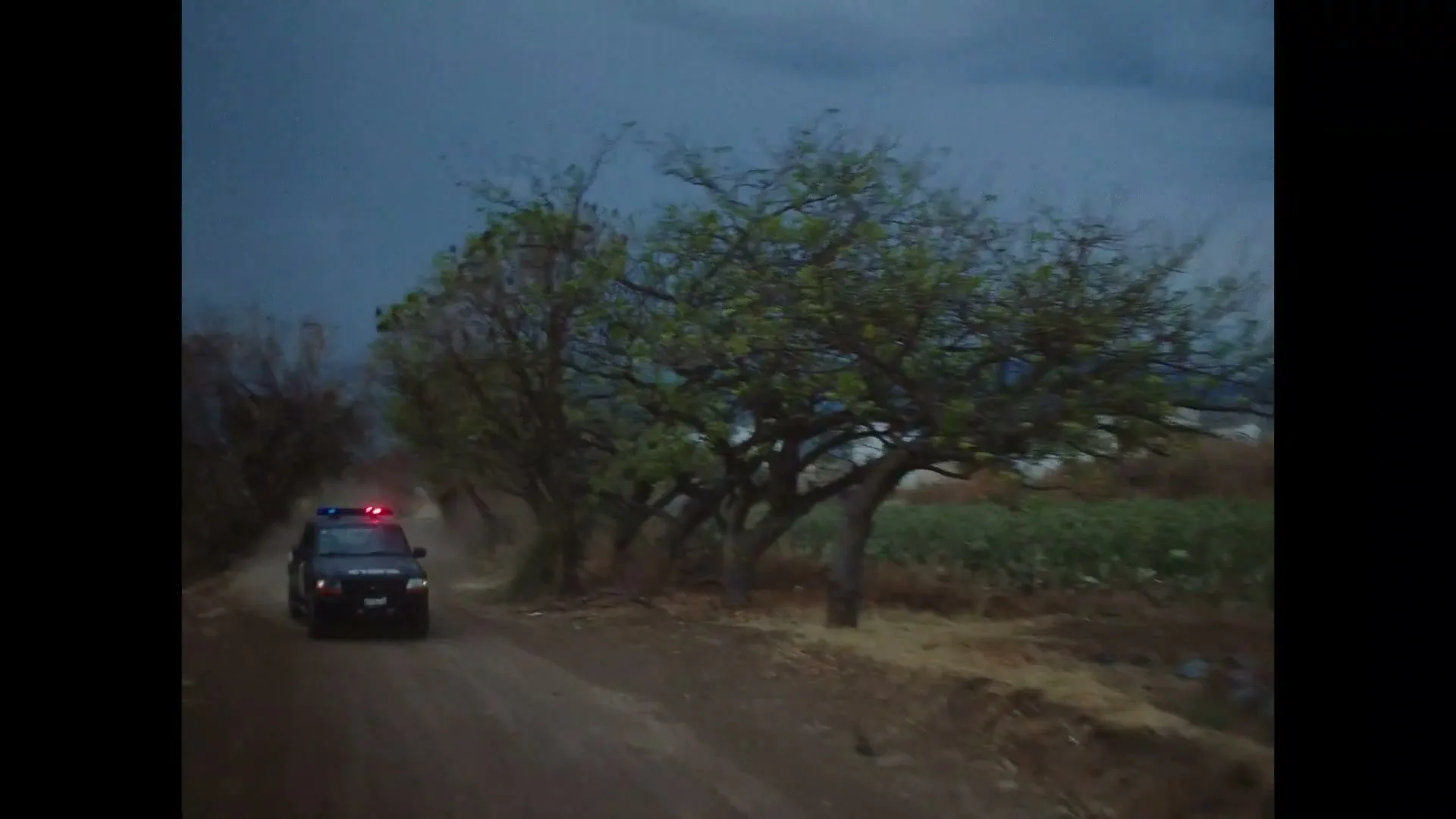 A police car with flashing lights drives down a dirt road next to fields and trees under a dark, cloudy sky.
