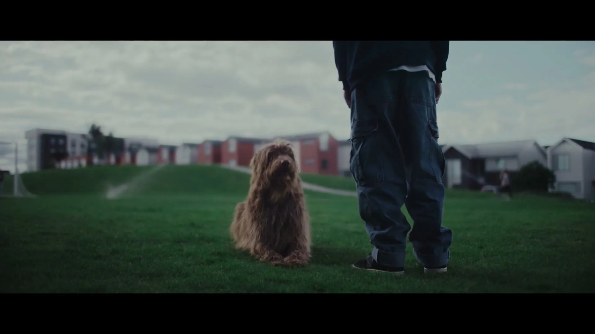 A shaggy brown dog sits on a grassy field next to a person's legs, with suburban houses in the background under a cloudy sky.