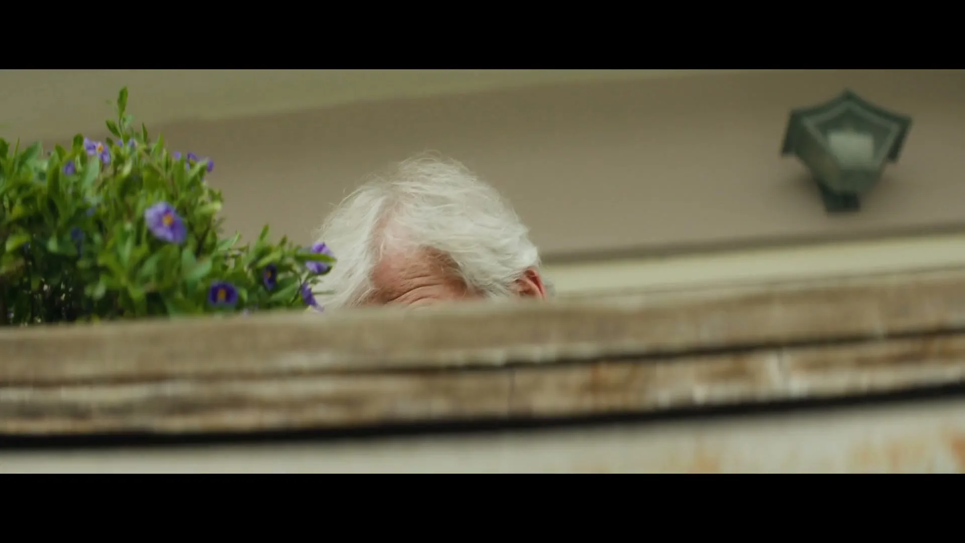 An elderly man with white hair and a beige jacket looks down, then ducks behind a balcony railing, his hands reaching for a plant.