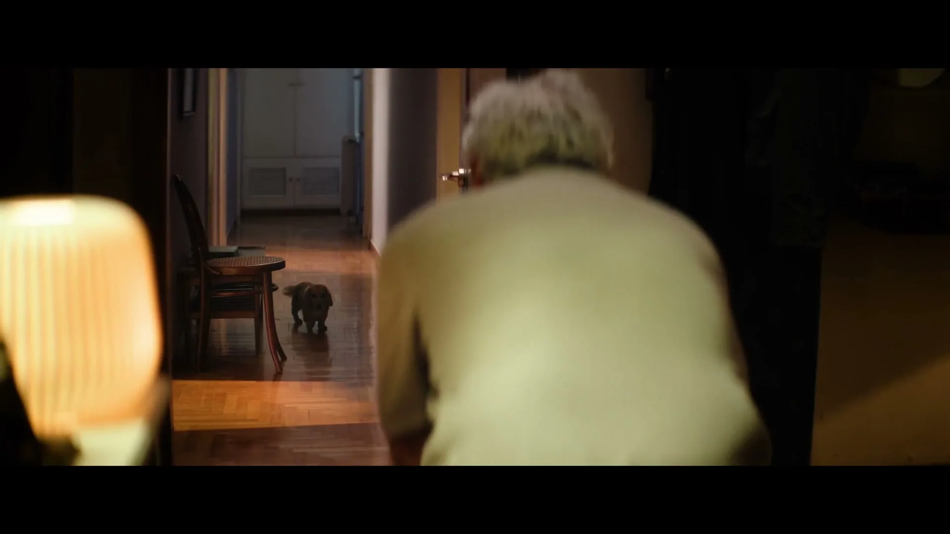A woman with white hair in a light shirt walks away from the camera, following a small dog down a dimly lit hallway in a house.
