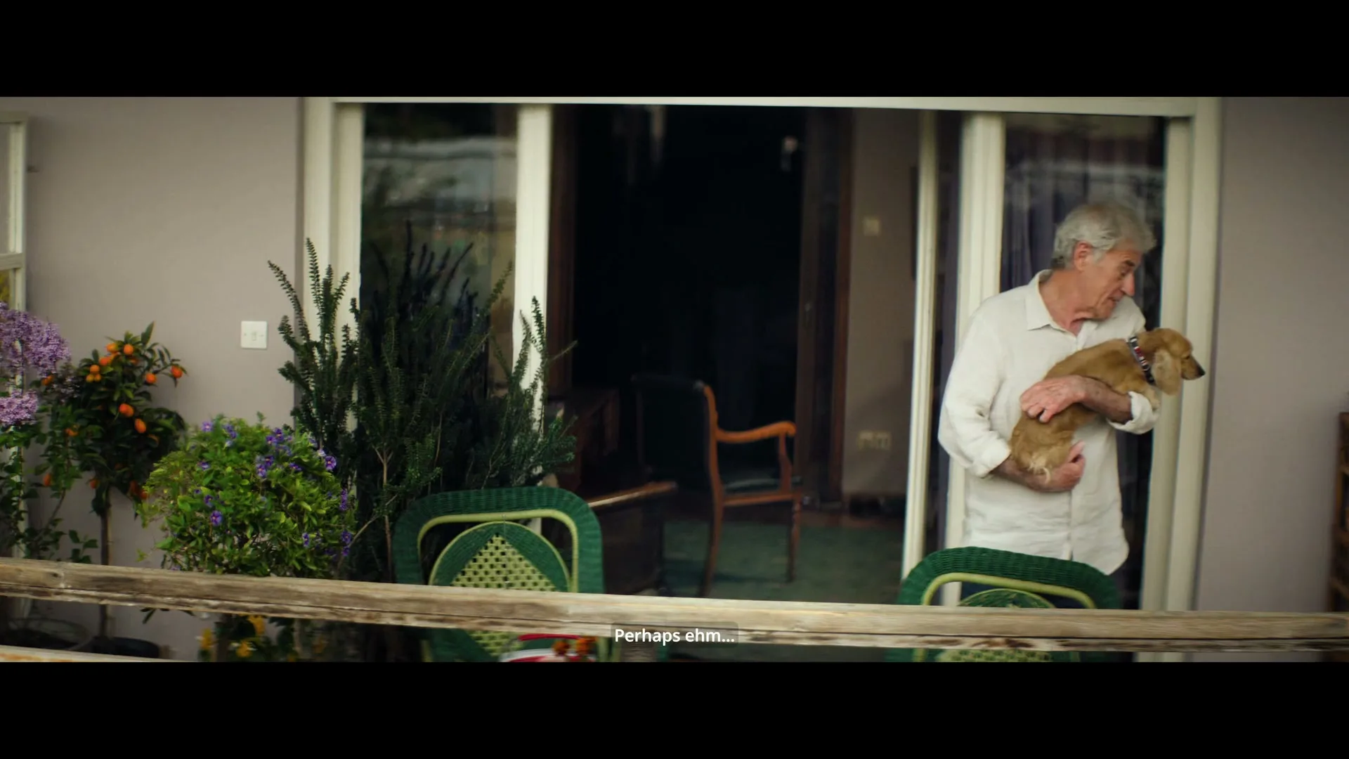 An elderly man with white hair, wearing a white shirt, holds a small brown dog on a balcony with plants and green chairs.