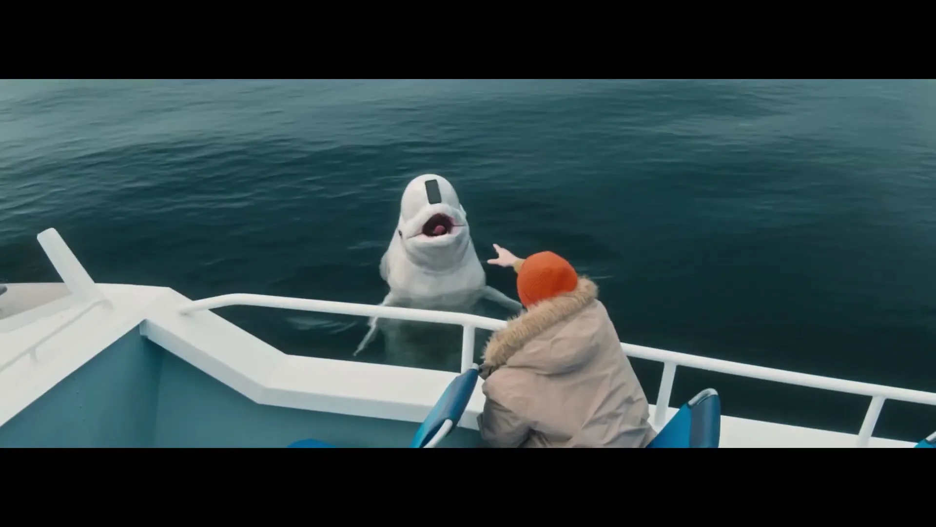 NerdWallet “Genius Beluga” (2025)