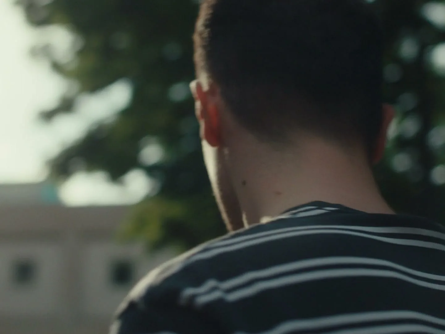 A young man with short dark hair, wearing a striped shirt, is seen from behind, looking towards a bright light source outdoors.