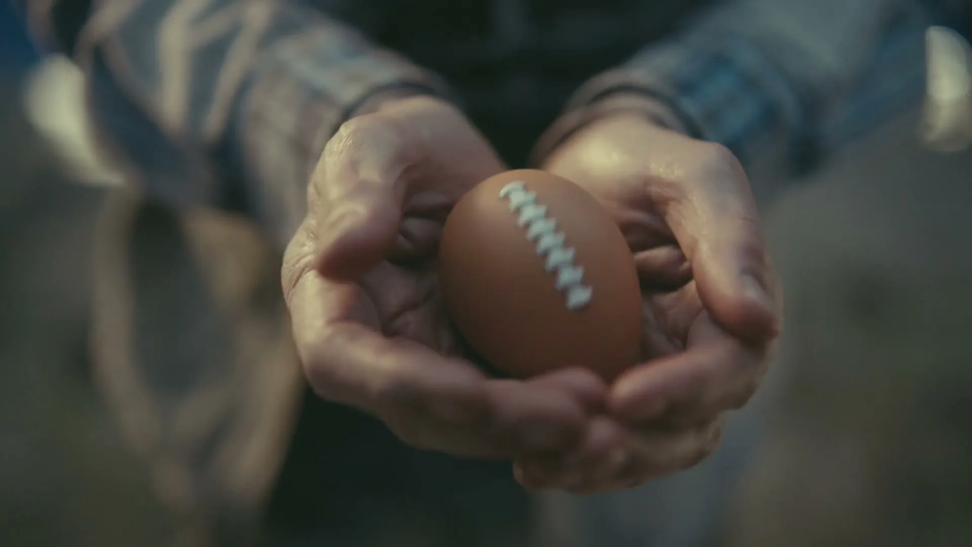 NFL Sunday Ticket "Migration" (2024) commercial still