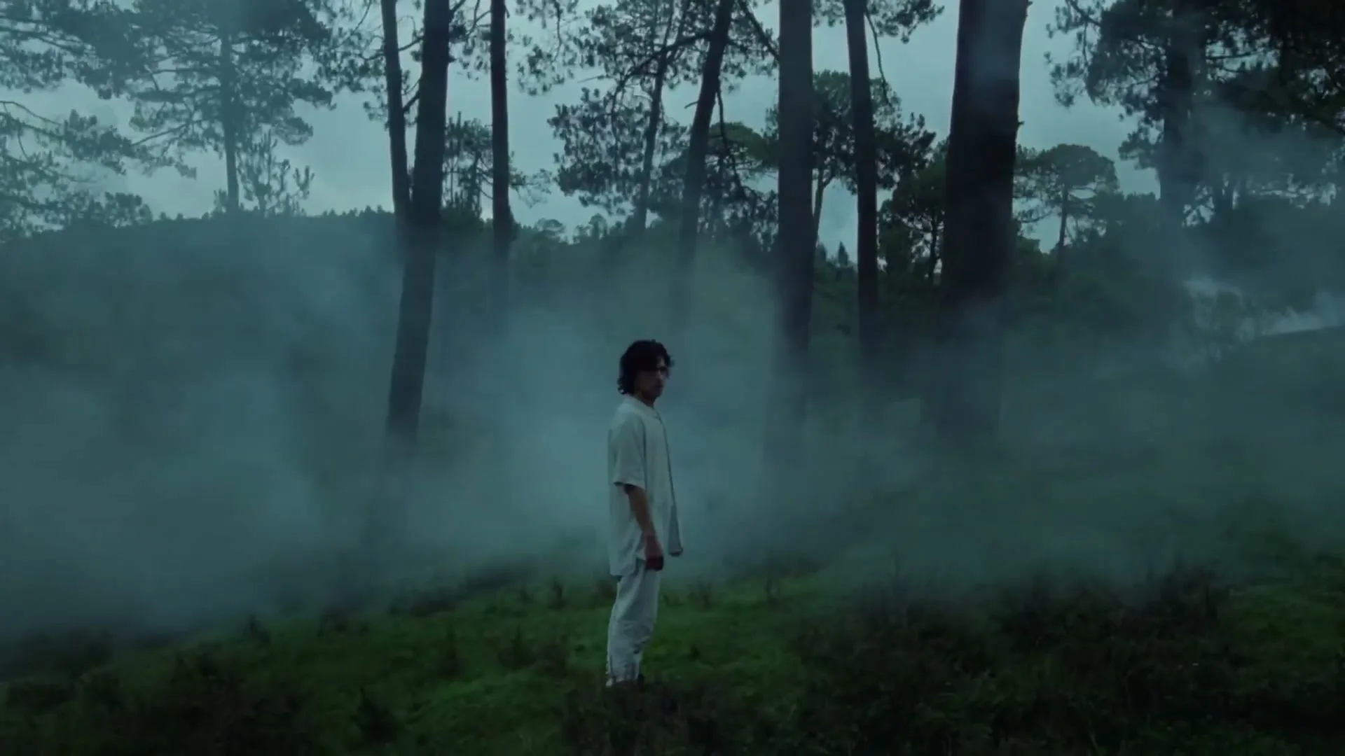 A young man in a white shirt and pants stands in a misty forest, looking to the side with a neutral expression.