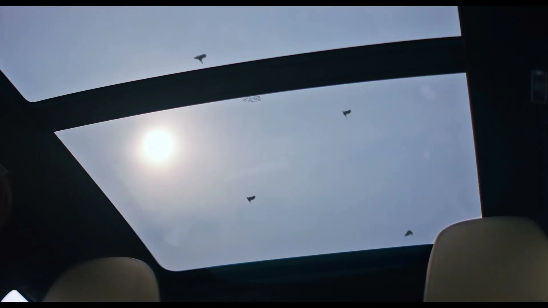 Optimist “Karoq” (2020), frame 6