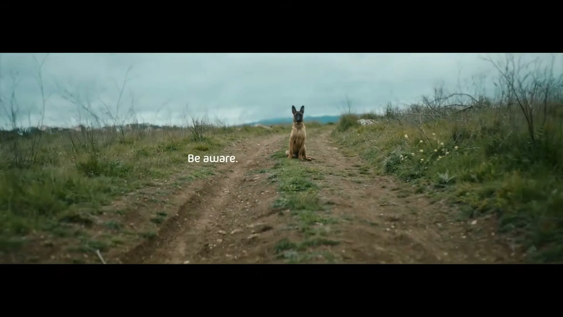 Animal life “Karma”