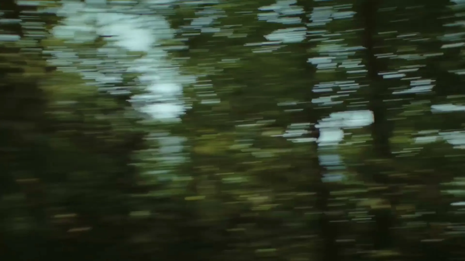 A person's hand reaches out to touch a tree trunk as they run through a sun-dappled forest, with light rays shining through the trees.