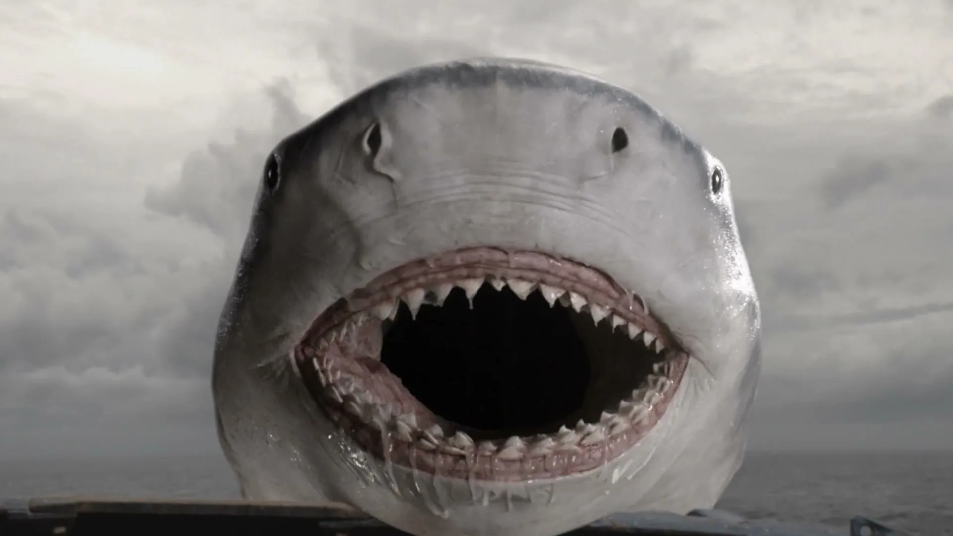 A large, menacing great white shark with its mouth open, revealing rows of sharp teeth, emerges from the water under a cloudy sky.