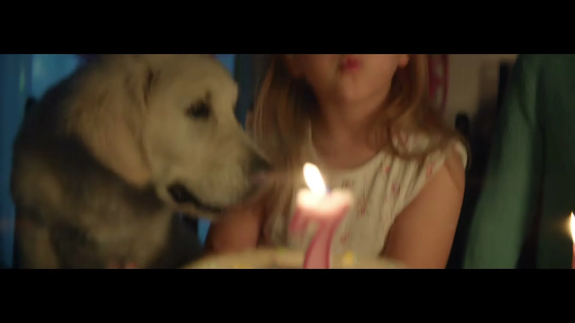 A young girl with long blonde hair and a white dog sit at a table with a birthday cake, as the girl blows out a candle.