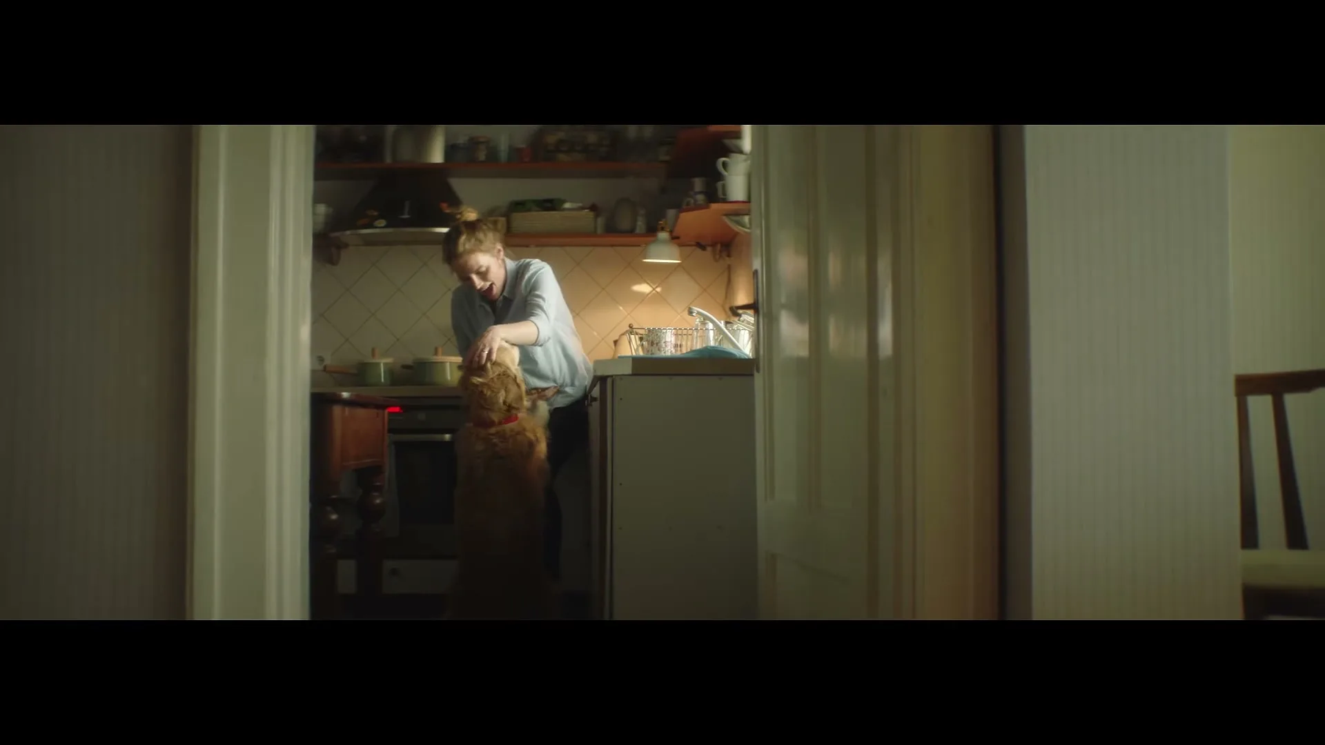 A woman in a light blue shirt and her golden retriever dog are playing in a cozy kitchen, with the dog standing on its hind legs.