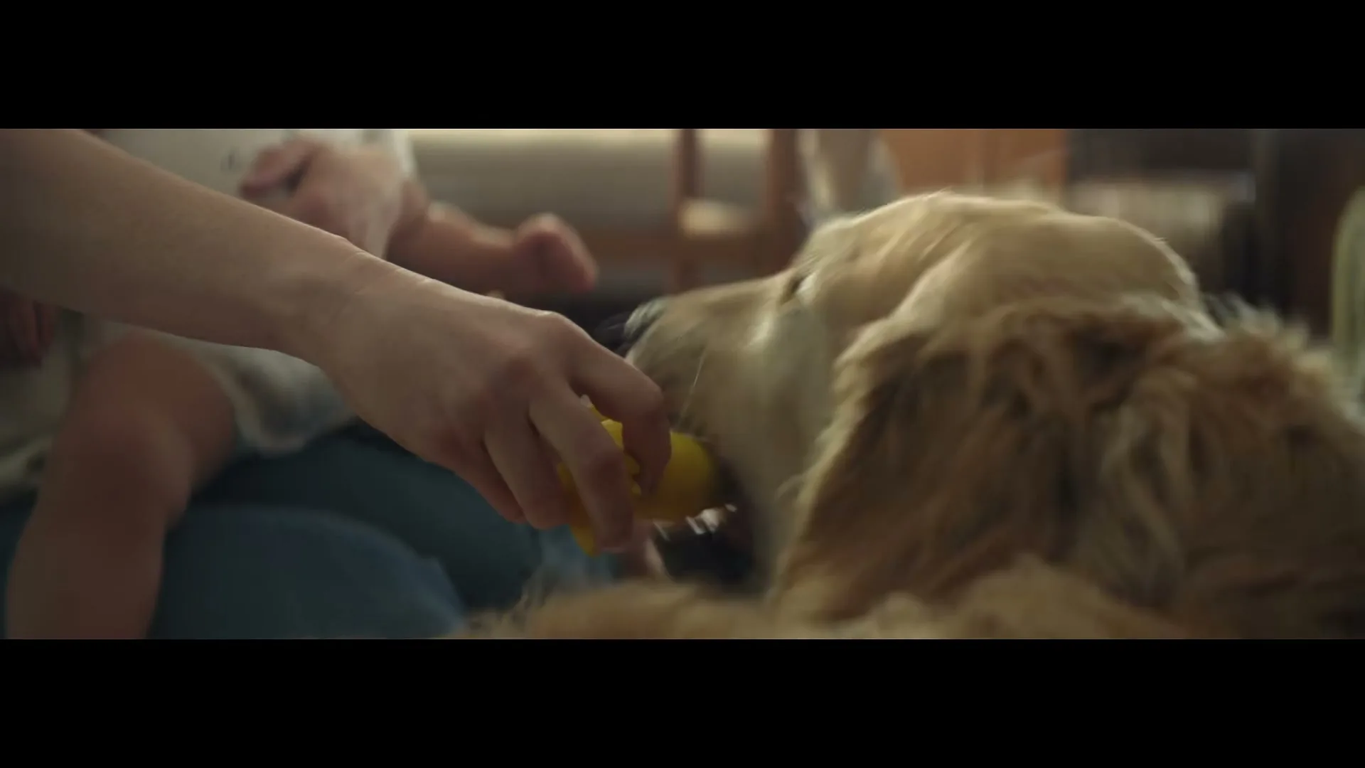 A person's hand offers a yellow toy to a golden retriever, while a baby sits in the background in a cozy living room.