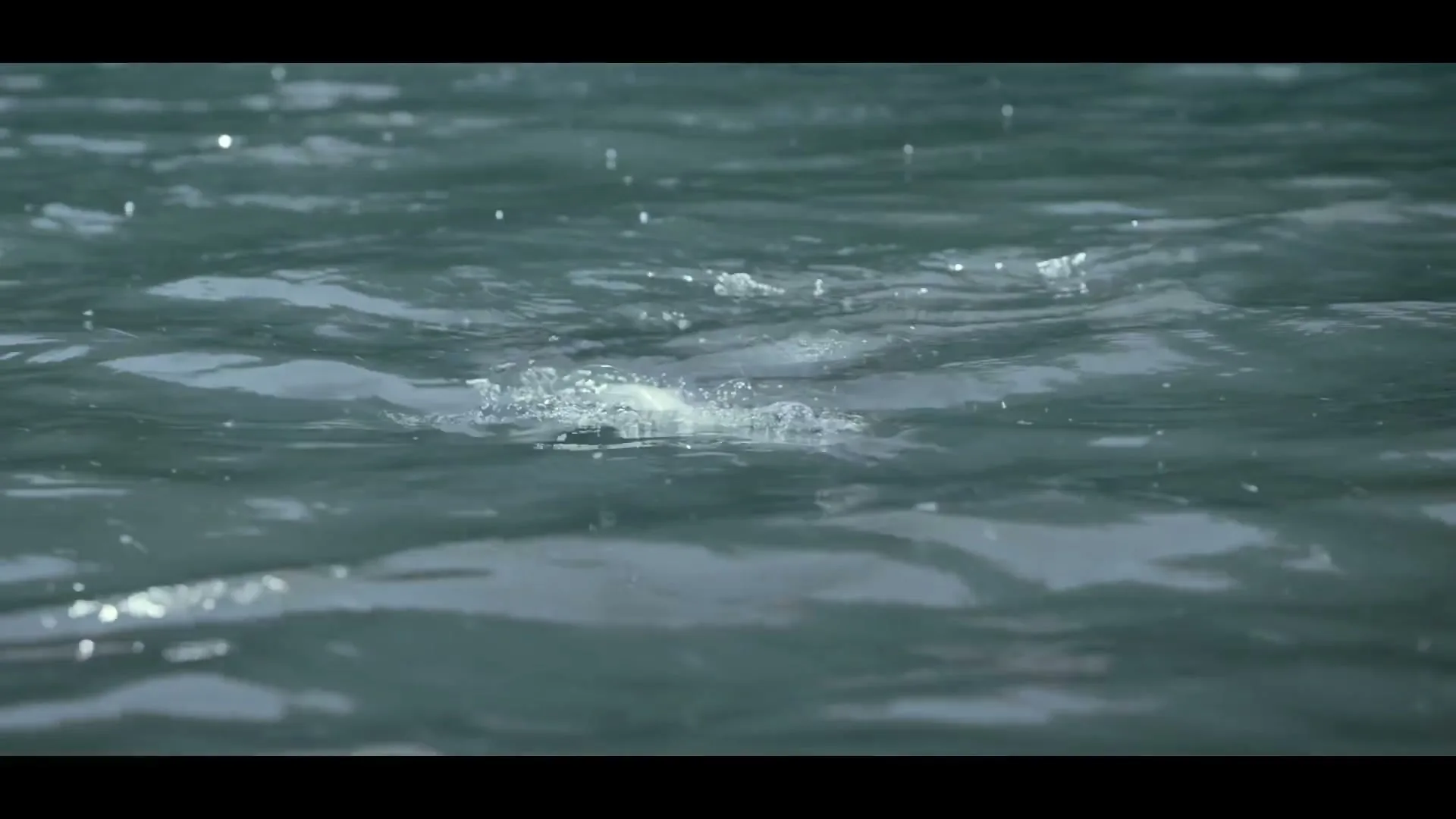 A fishing lure bobs on the surface of dark, rippling water, creating small splashes and concentric circles.