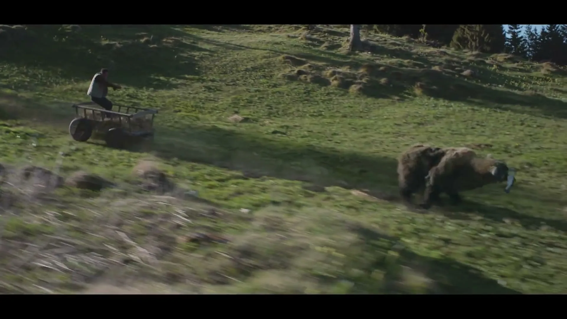 A man in a brown shirt and vest is thrown from a cart as a bear chases him down a grassy hill in a rural area.