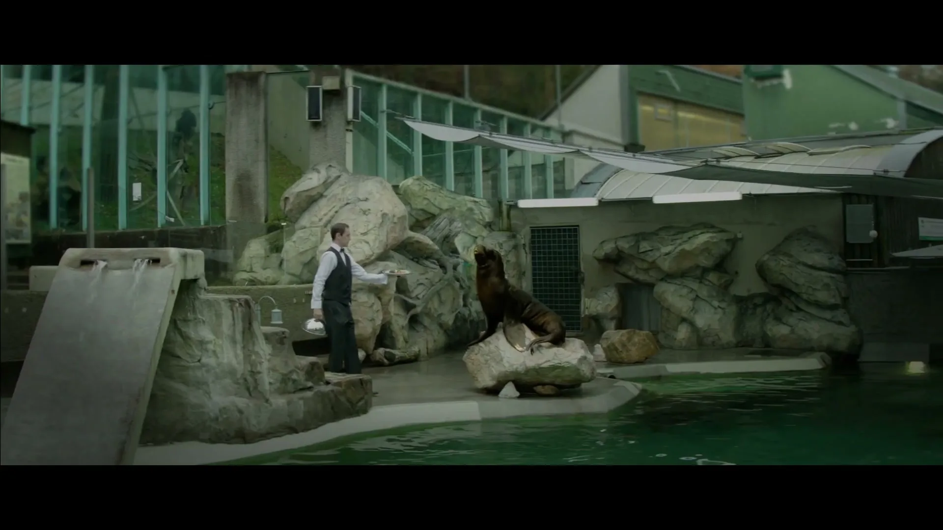 A waiter in a vest and tie serves a fish to a sea lion on a rock in an outdoor zoo enclosure.