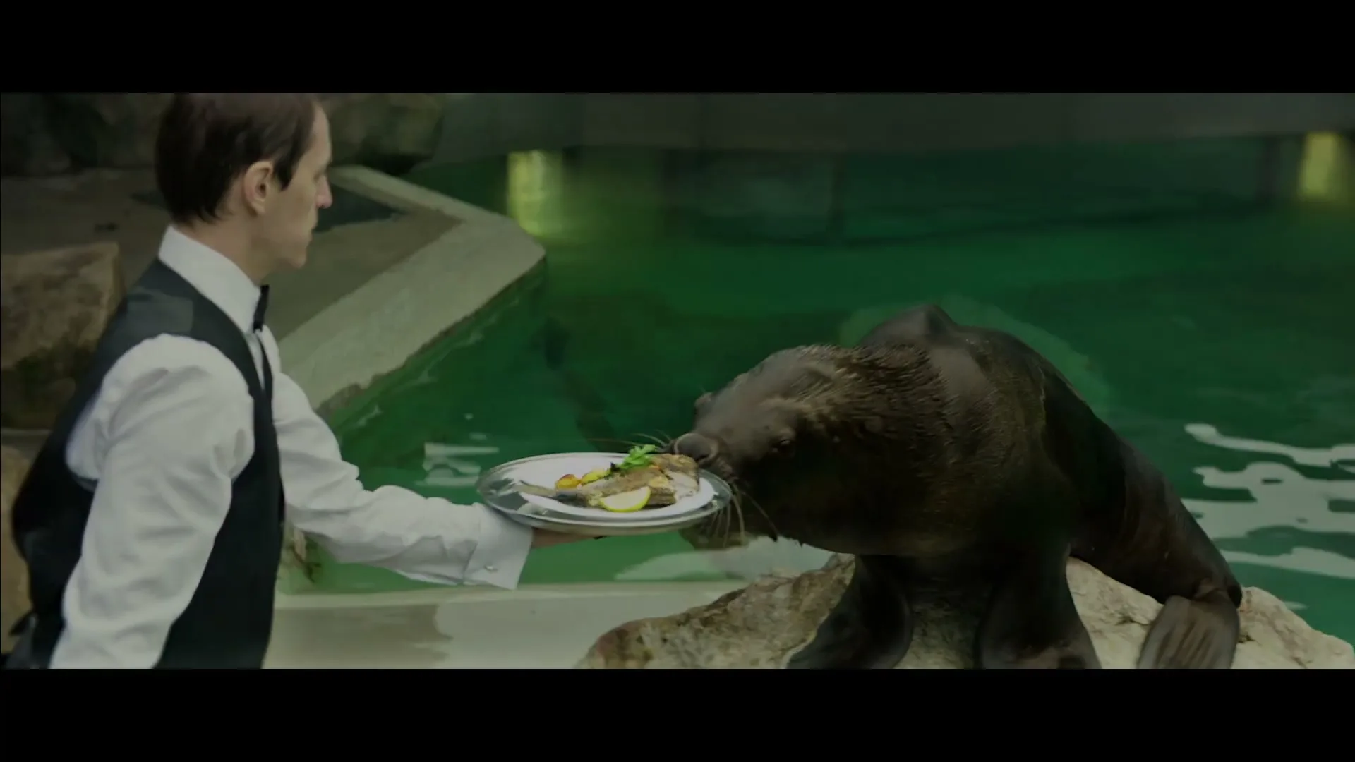 A male waiter in a tuxedo vest serves a plate of fish to a sea lion at a zoo enclosure.