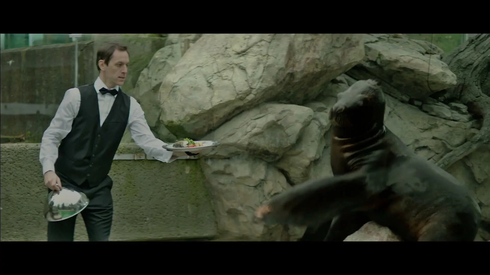 A male waiter in a tuxedo vest serves a plate of food to a large seal in a rocky zoo enclosure.