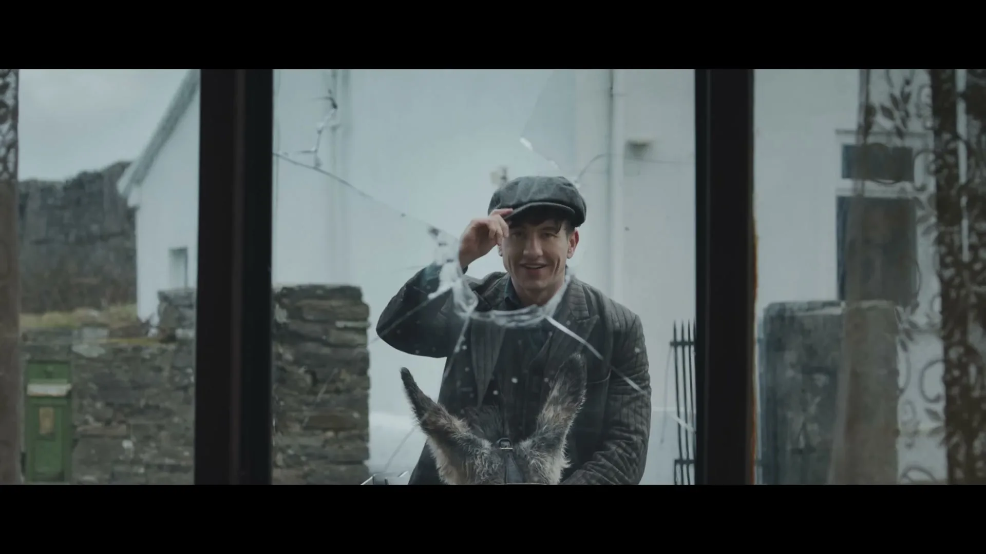 A man in a flat cap and tweed jacket smiles through a broken window, with a donkey's ears visible in the foreground, in a rural setting.
