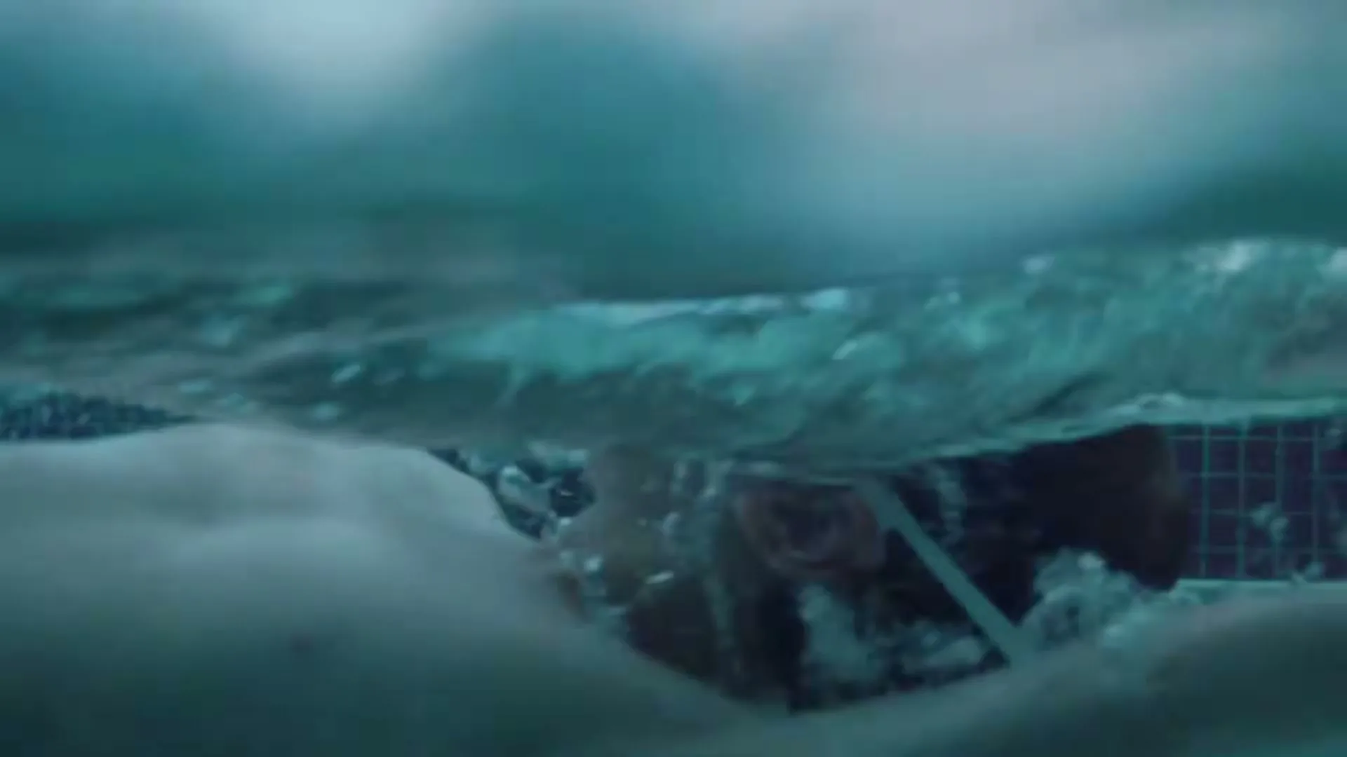 A person with dark hair and a swim cap is seen underwater in a swimming pool, with the water's surface visible above them.