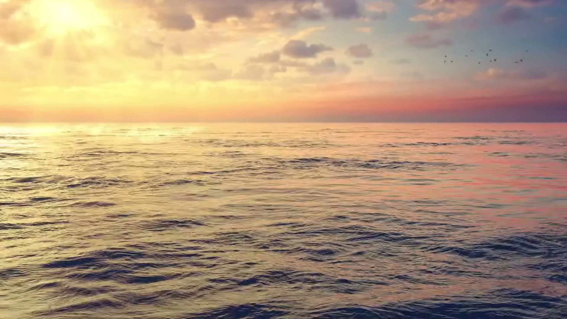 The camera slowly descends from a golden sunset over a calm ocean to reveal two large whales swimming gracefully underwater, with light rays piercing the deep blue.