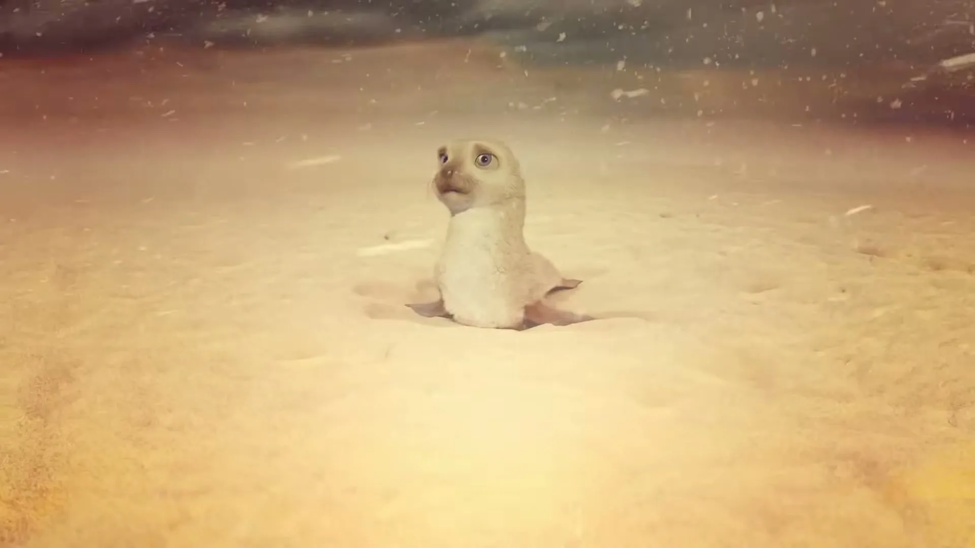 A small, light-colored seal pup with wide eyes looks up as a large shadow of a human figure falls over it in a snowy, desolate landscape.