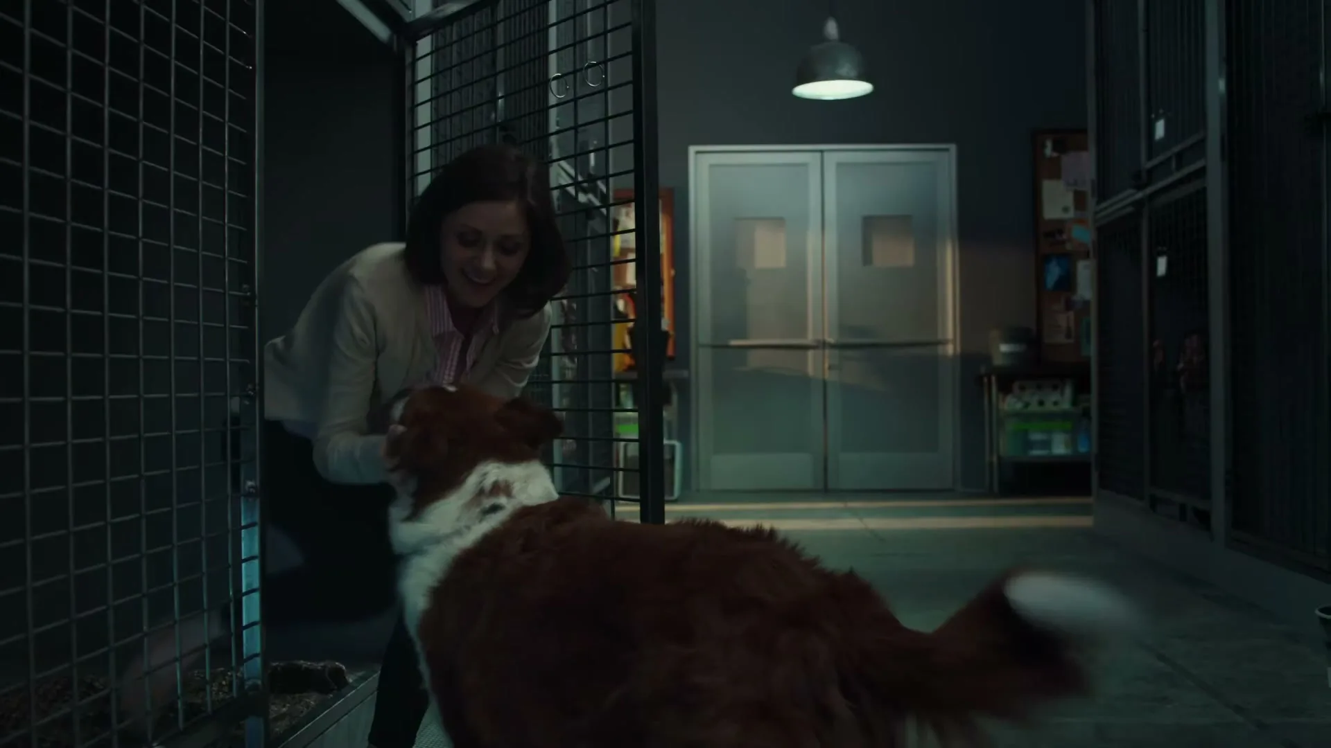 Pedigree “Pick Me”, directed by Aaron Stoller