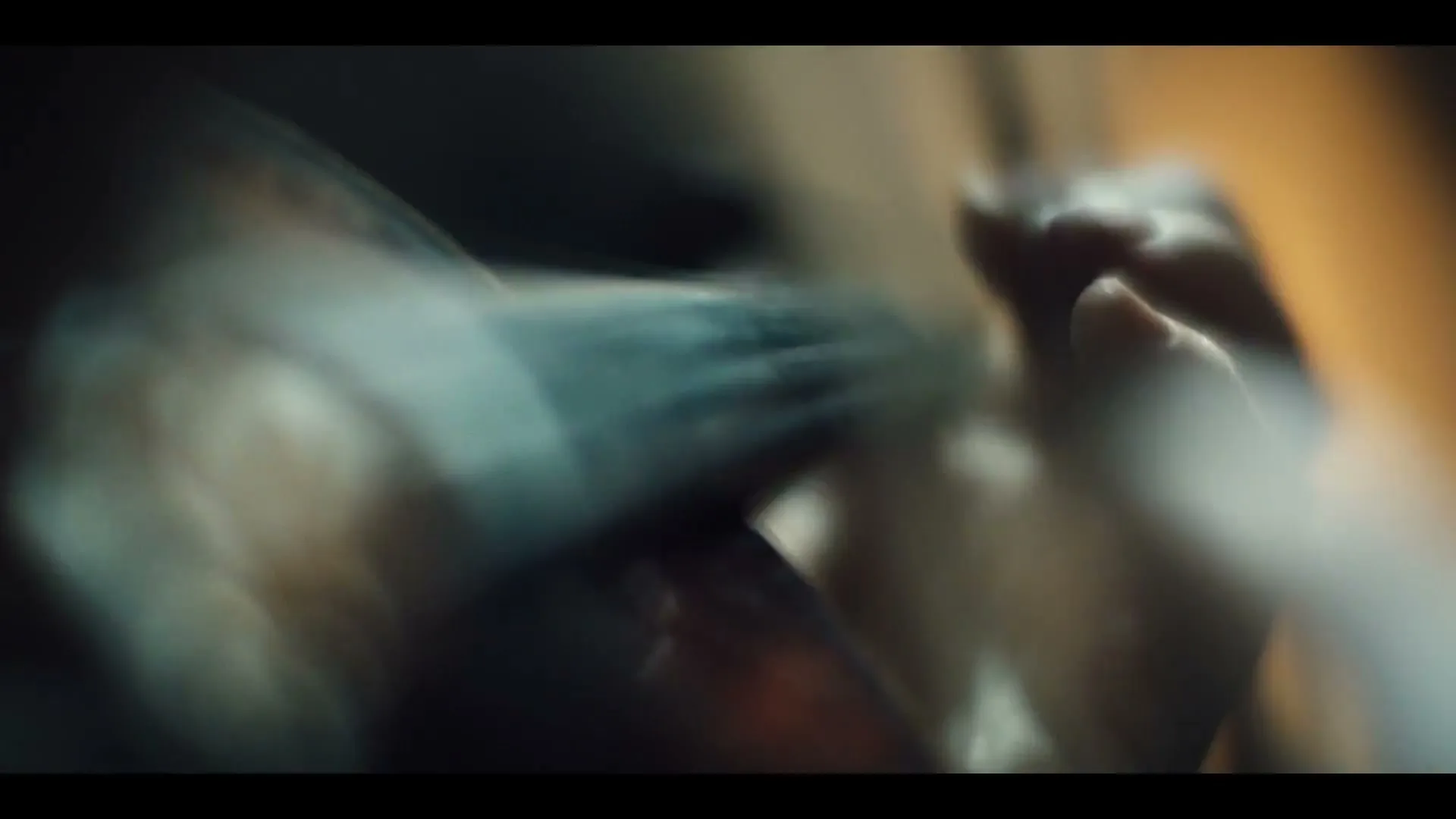 A person's hand is shown in a closeup, gently touching a dark, feathery object in a dimly lit interior.