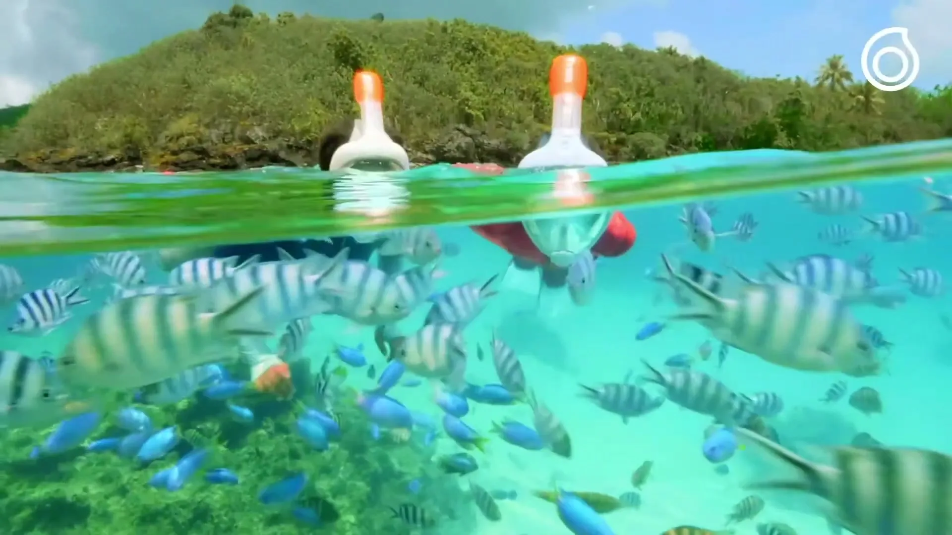 Two people in full-face snorkel masks swim underwater surrounded by many fish, with a tropical island visible above the water.