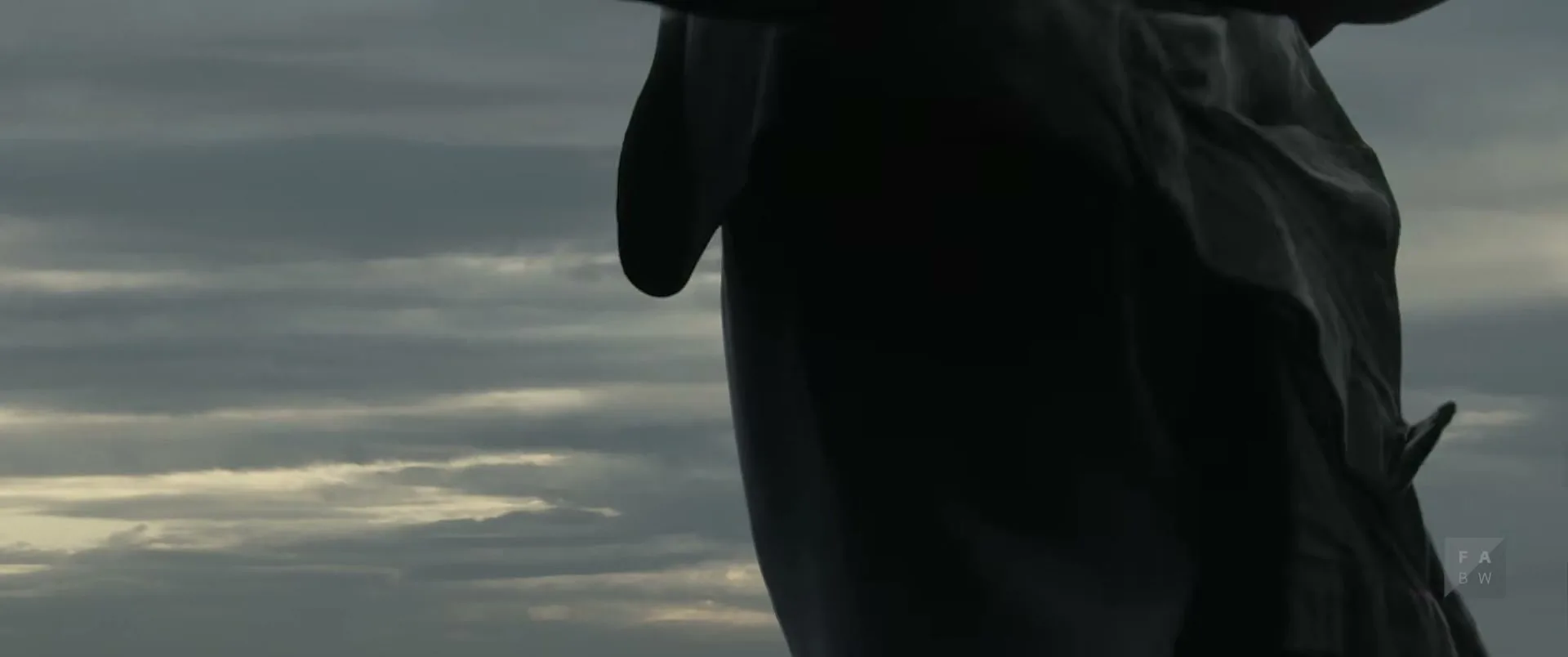 A person in dark clothing stands against a cloudy sky, with their arm raised, as if holding something or gesturing.
