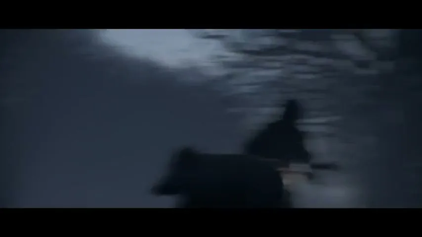 La Sécurité Routière “Loss of control” (2016), frame 3