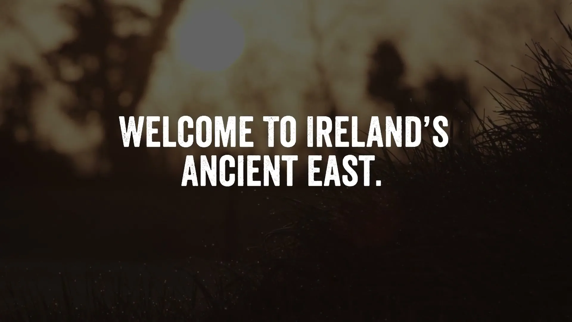 White text on a black screen fades to reveal a sunrise over dewy grass, with the text "WELCOME TO IRELAND'S ANCIENT EAST" remaining centered.