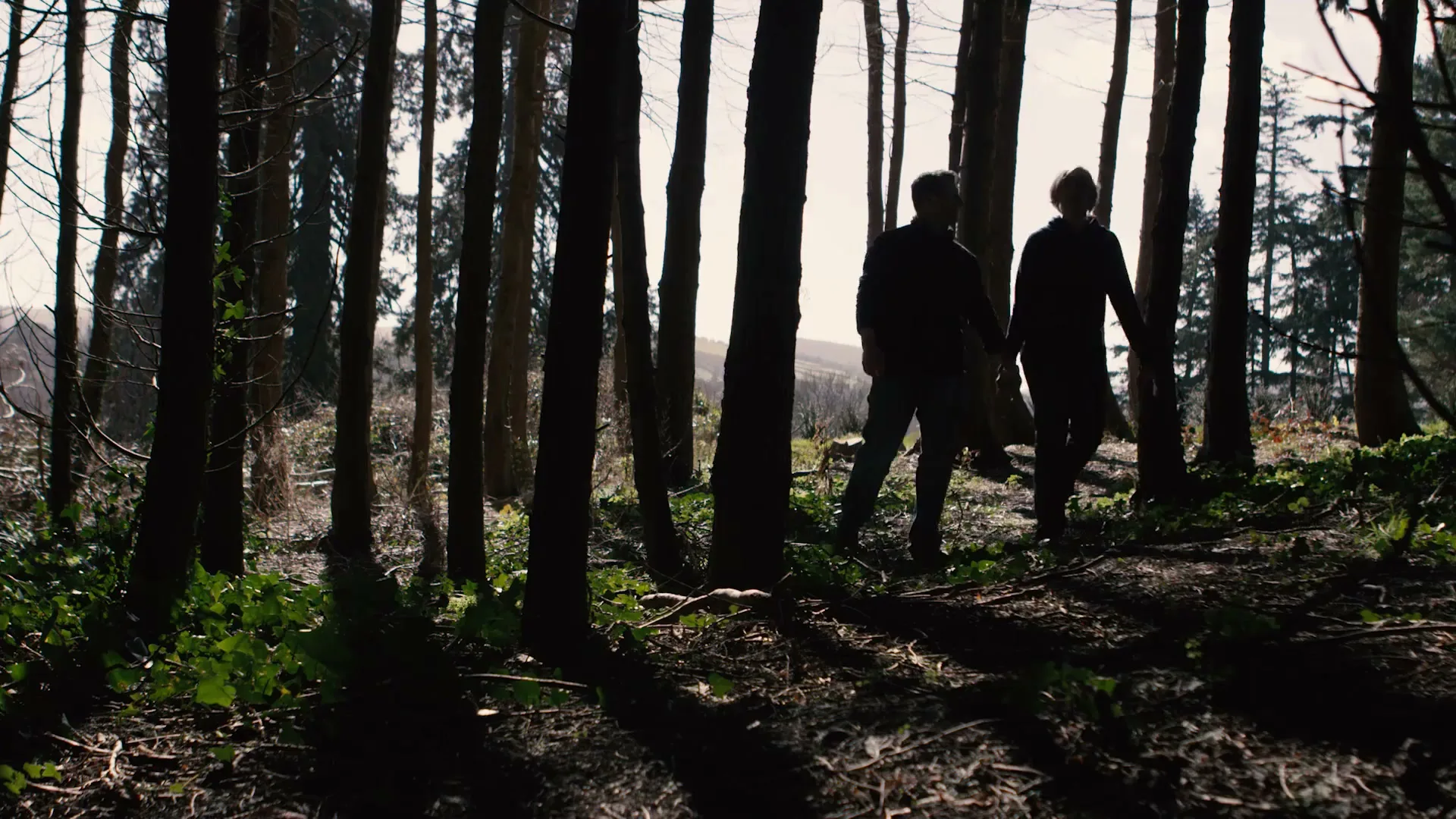 A couple, silhouetted against the bright sky, walks hand-in-hand through a dense forest with tall trees and dappled sunlight.