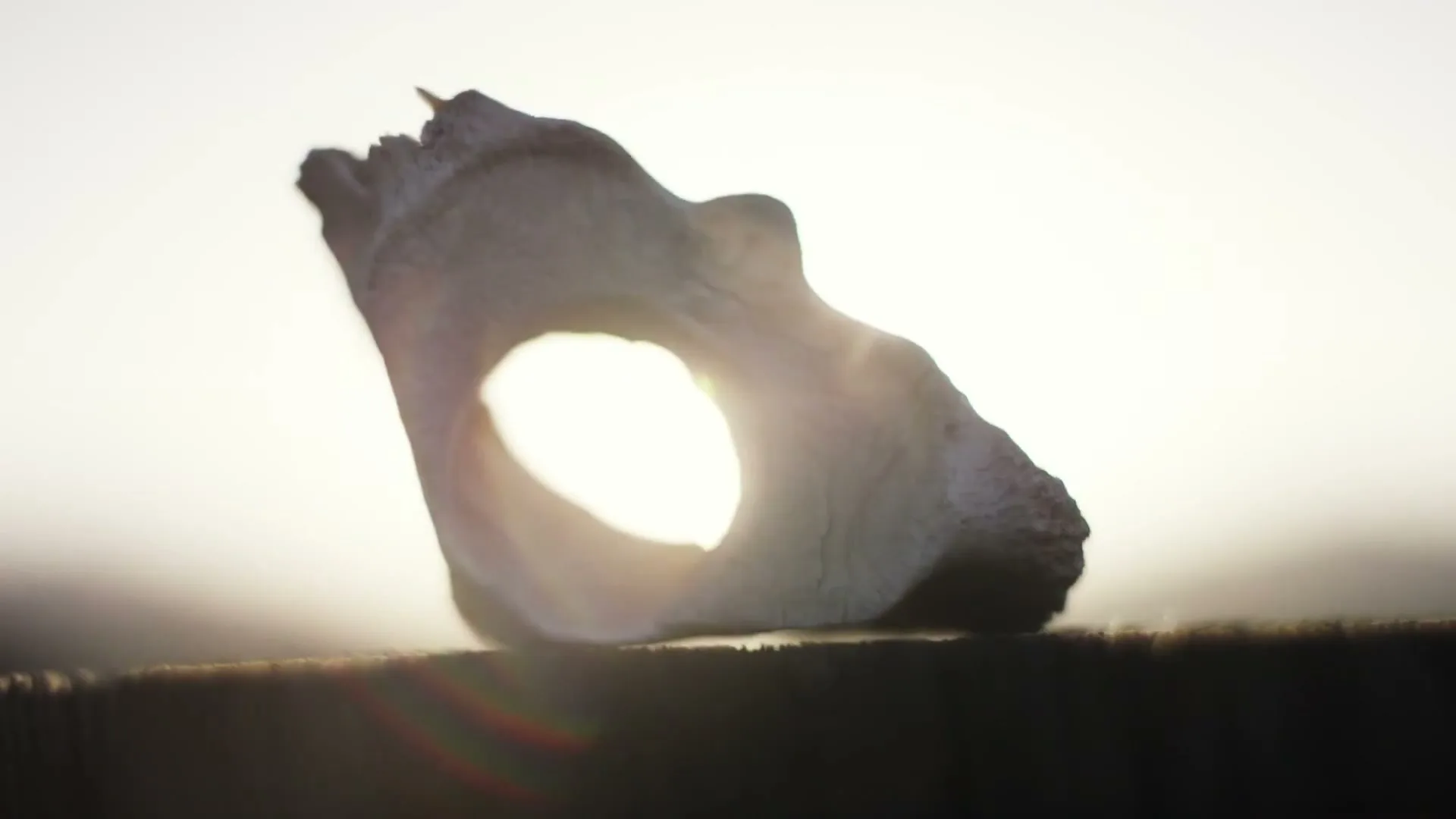 A close-up shot of a weathered bone with a hole in it, silhouetted against a bright, hazy sky at golden hour.