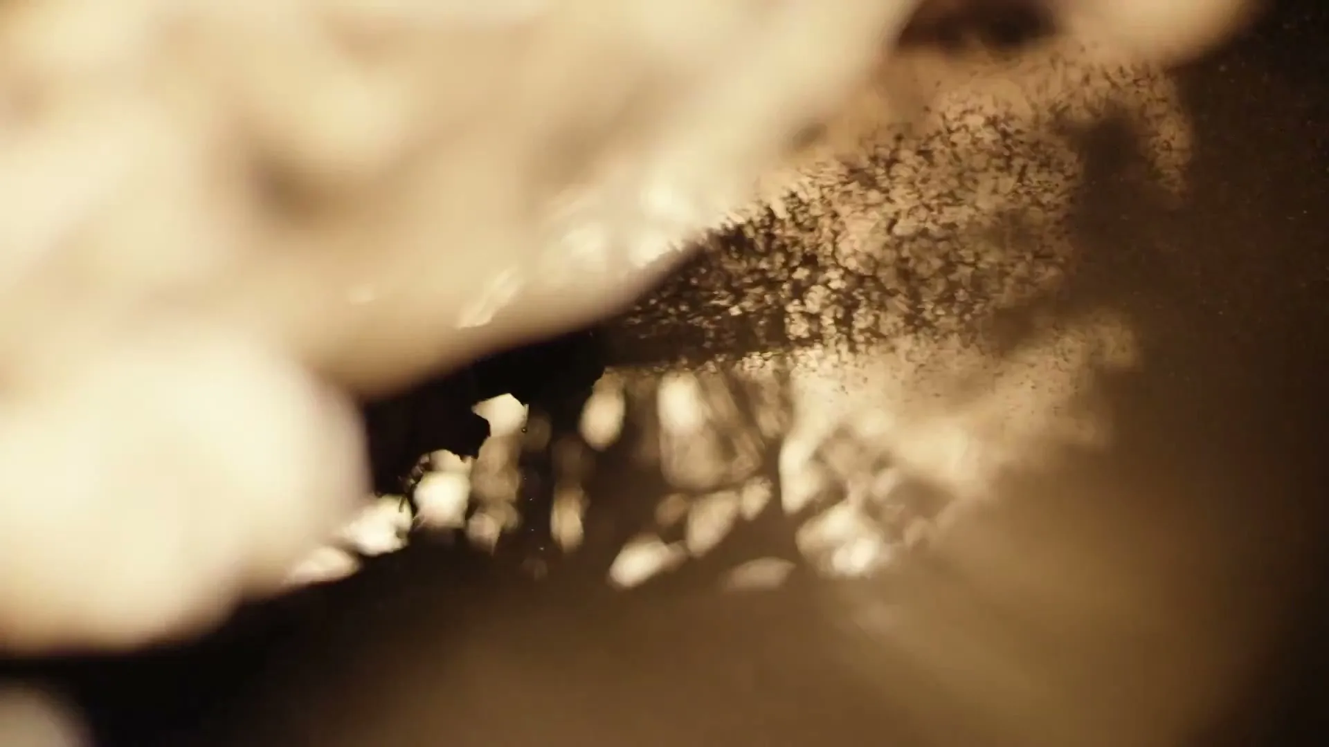 A close-up shot shows a dark, silhouetted object spraying a fine mist or dust into the air, illuminated by a warm, golden light.