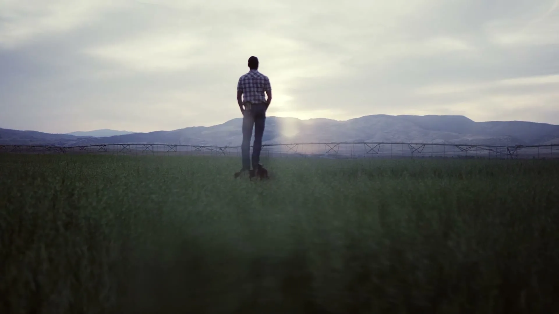 A male farmer stands in a vast green field, looking out at mountains and a cloudy sky at dusk.