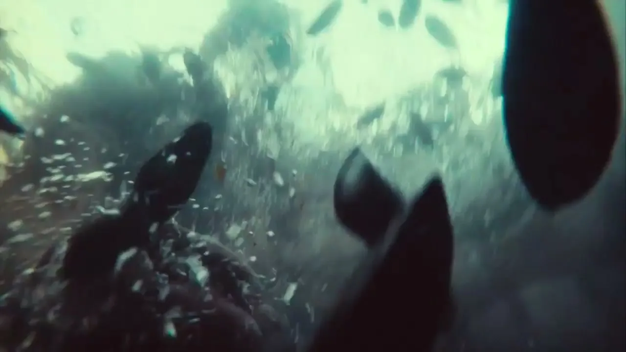 A man with dark, curly hair is seen underwater, surrounded by small fish and bubbles, as if falling into the water.
