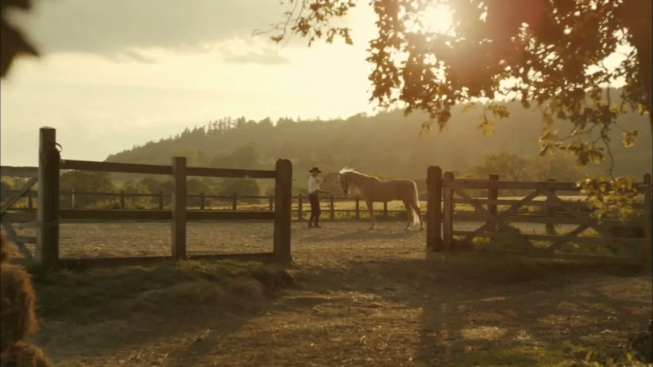 A man in a cowboy hat stands with a horse in a fenced-in dirt paddock at golden hour, with hills in the background.