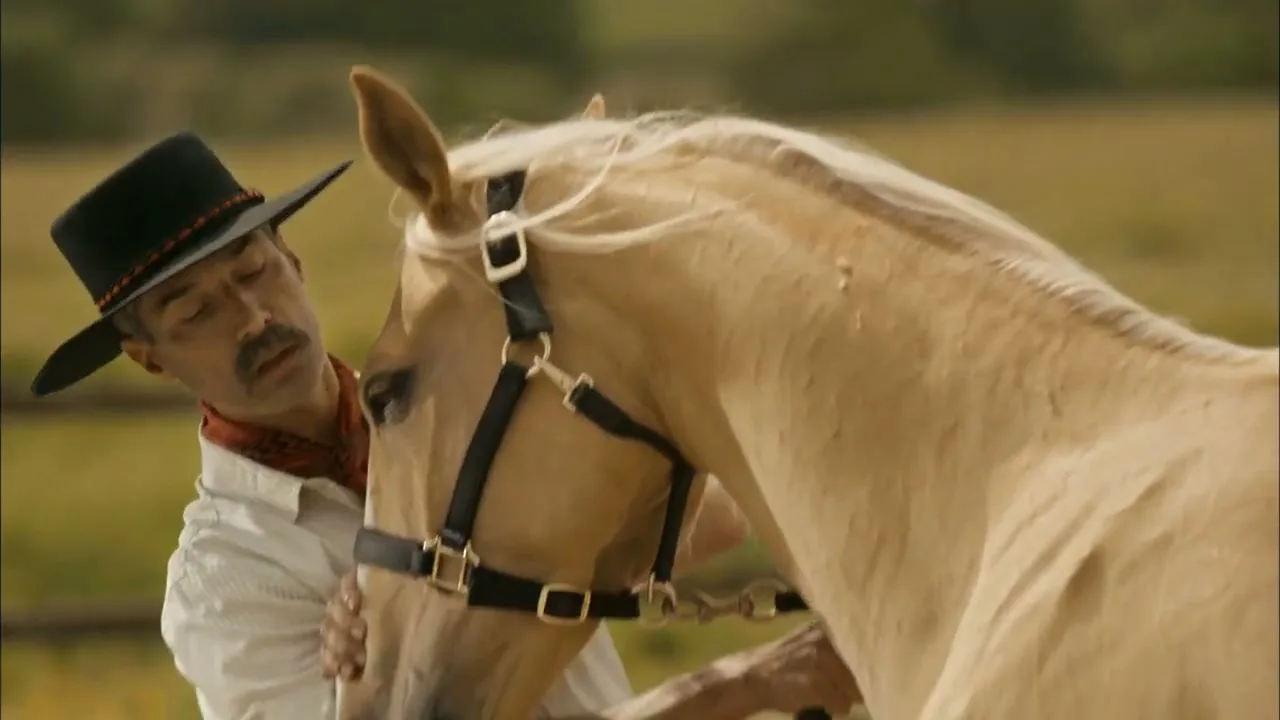 A man in a cowboy hat and striped shirt gently strokes the face of a light-colored horse in an outdoor setting.
