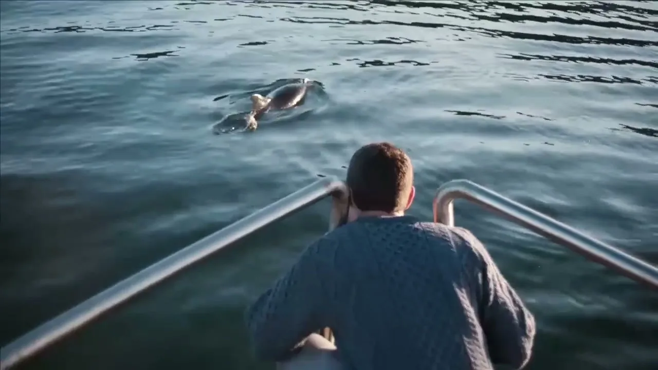 Tourism Ireland “Wild Atlantic Way” (2014), frame 6