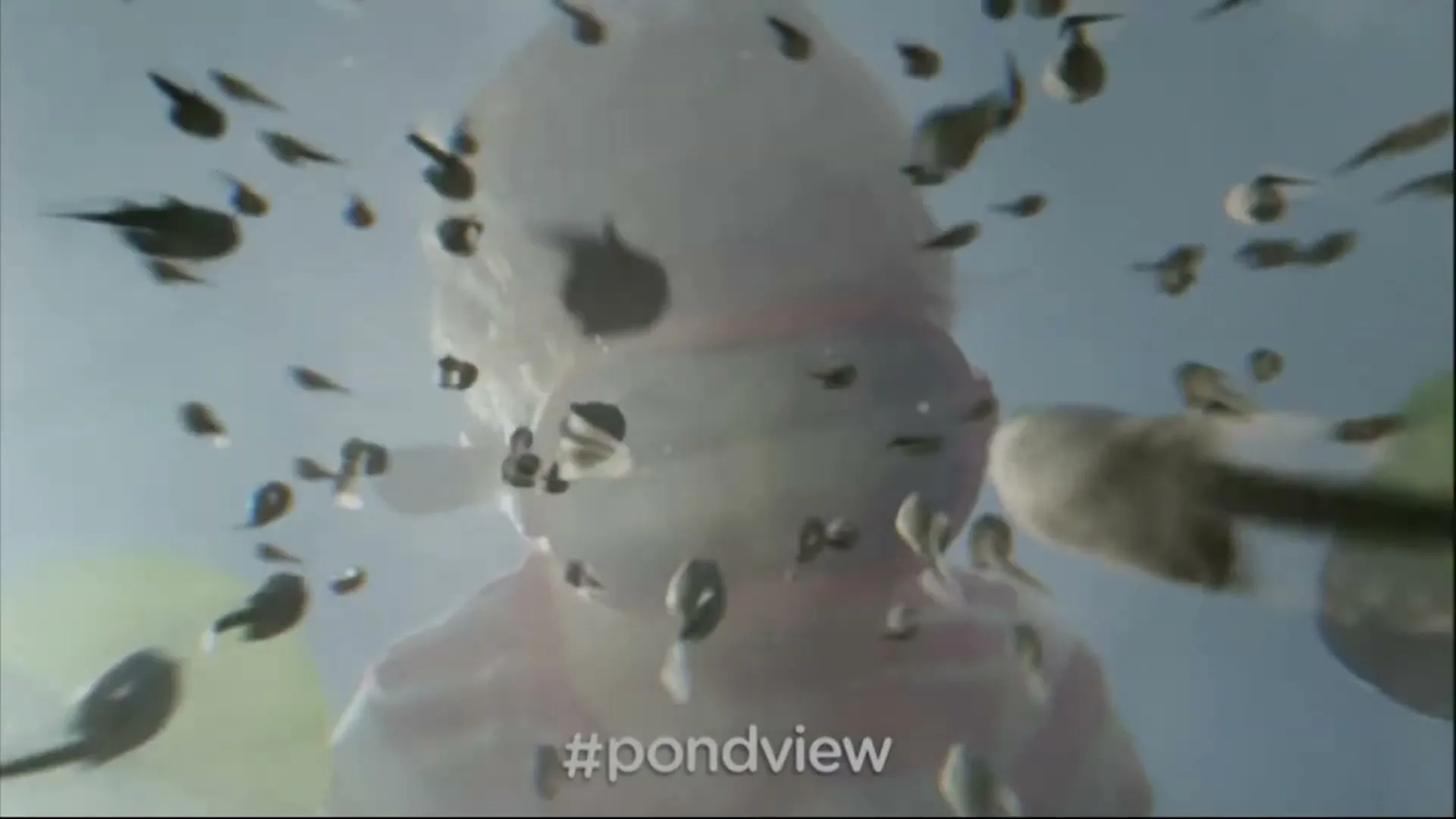 Freeview "Tadpoles" (2013) commercial still