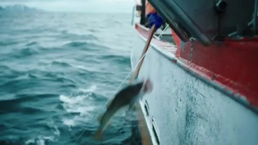 A fisherman in a blue jacket and orange overalls pulls a fish out of the rough sea onto a red and white boat.