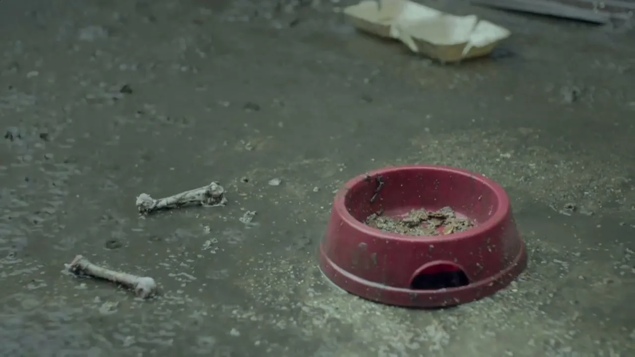 A dirty red dog bowl with scraps of food and two bones lies on a wet, muddy ground, suggesting neglect.