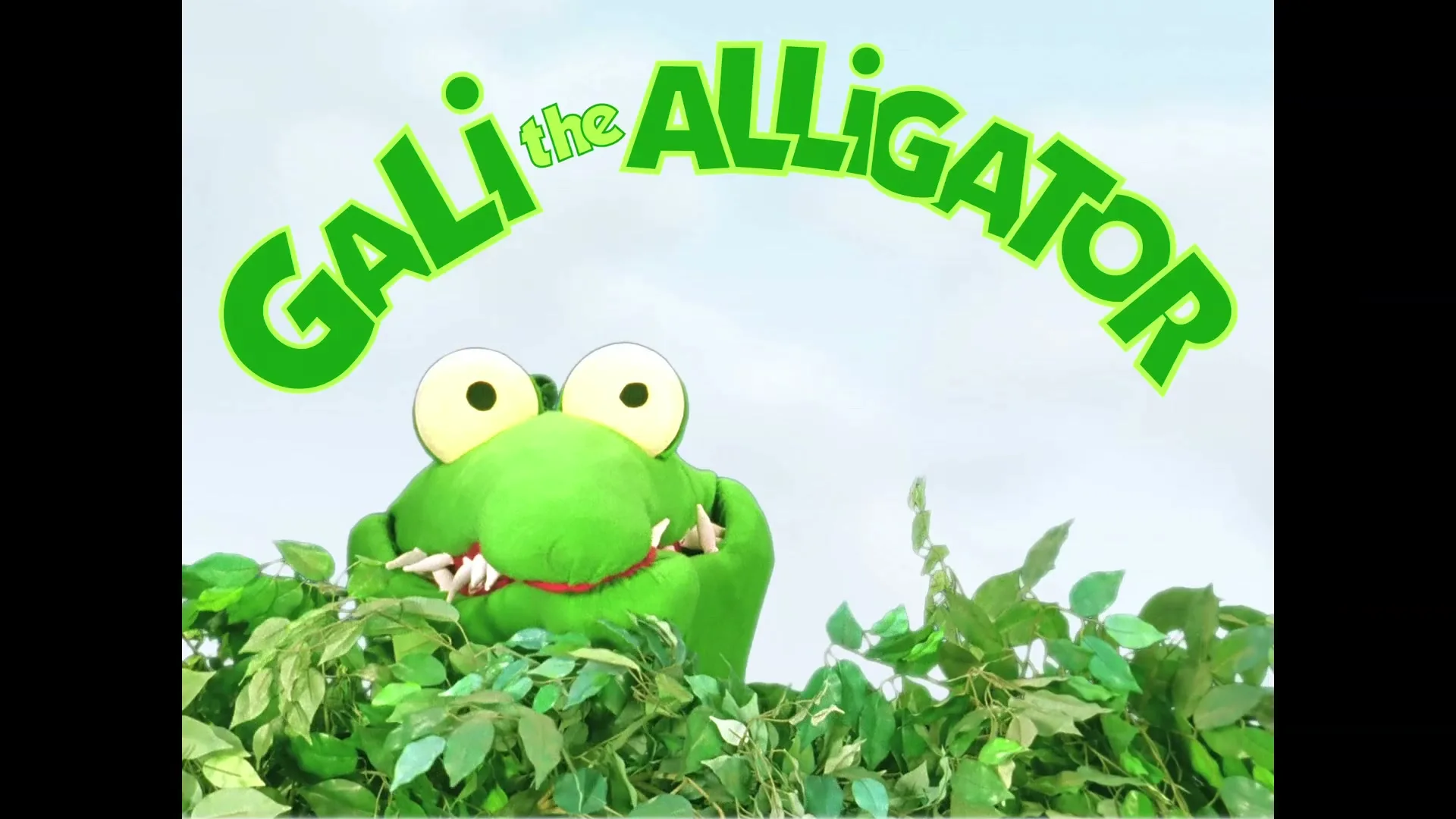 A green alligator puppet with big eyes and sharp teeth emerges from green foliage, with the title "GALI the ALLIGATOR" arched above it.