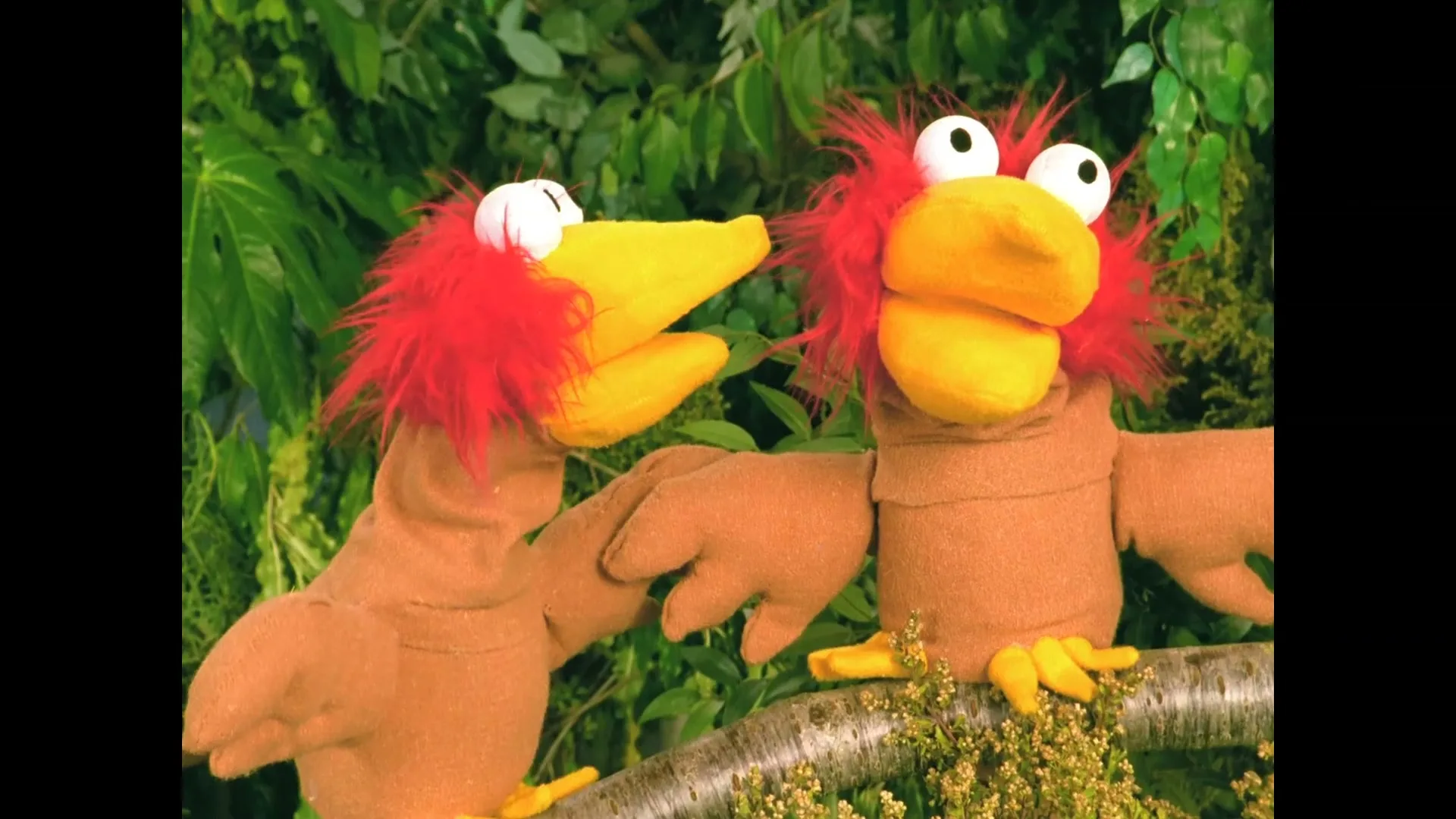 Two brown bird puppets with red feathers and yellow beaks sit on a branch, looking at each other and talking in a jungle setting.