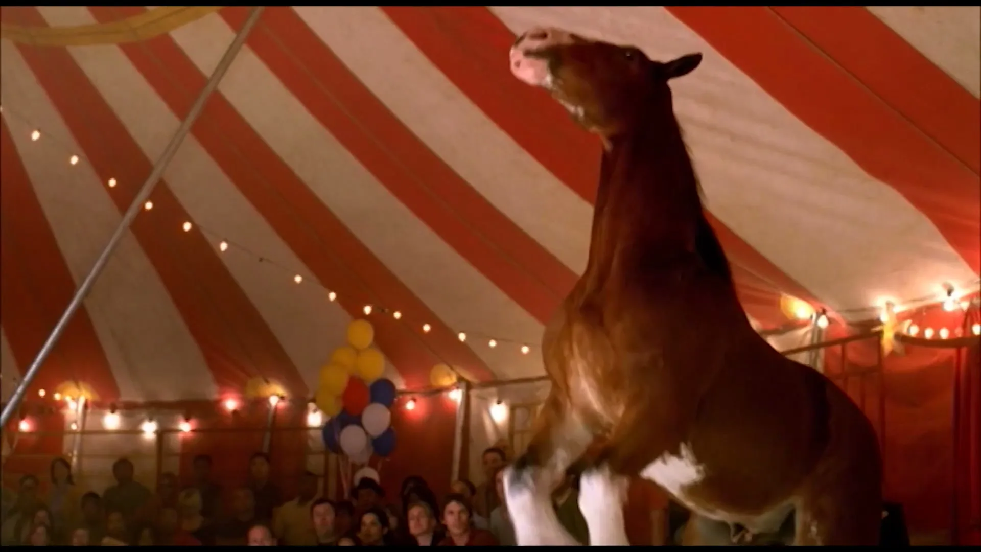 Budweiser “Circus” (2008)