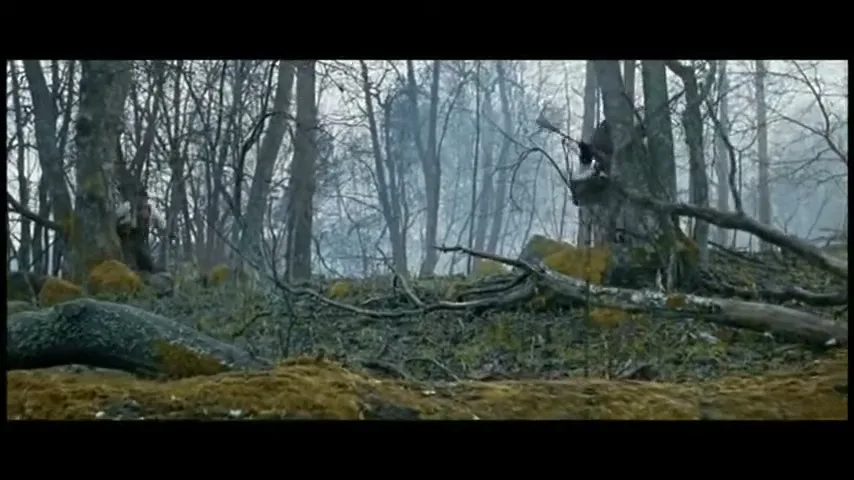 Olw “Potato Hunter” (2006), frame 2