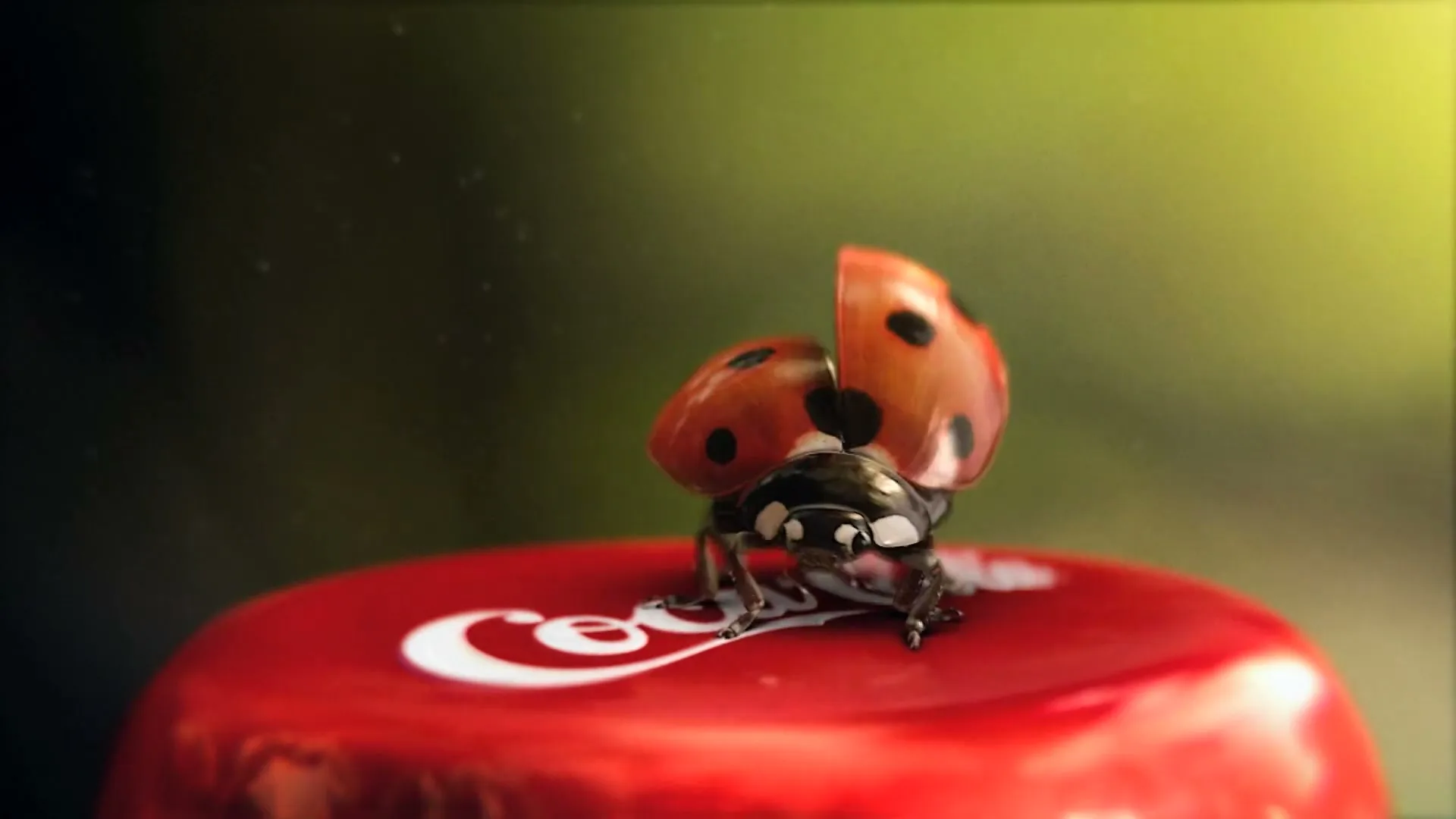 A ladybug with red and black wings opens its wings on a red Coca-Cola bottle cap, preparing to fly, in a close-up shot.